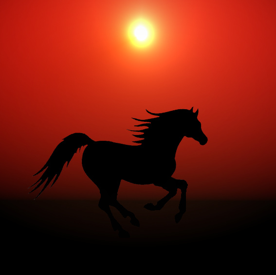 cavallo al tramonto
